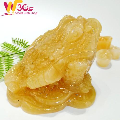 Trần Tuấn Hưng
